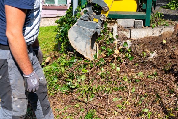 Hedge Removal Service in Scottsdale