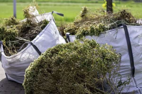 Cost of Shrubs Removal in Scottsdale