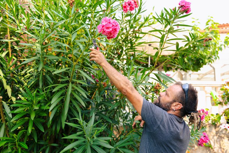 Flowering Shrubs in Bloom