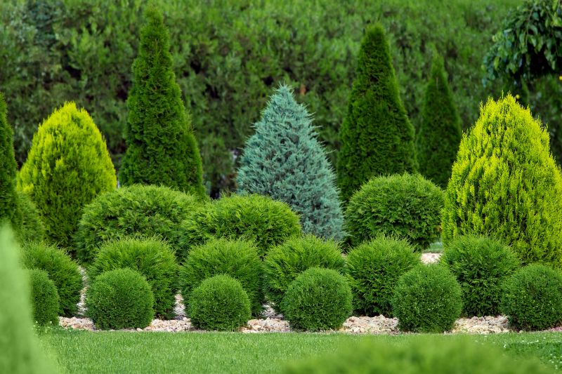 Healthy Shrubs Year-Round
